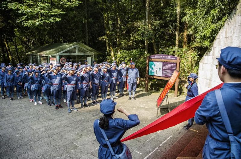 1530936624135322.jpg 8756454.jpg