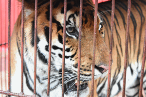 1563714415977380.gif 微信图片_20190721210653.gif