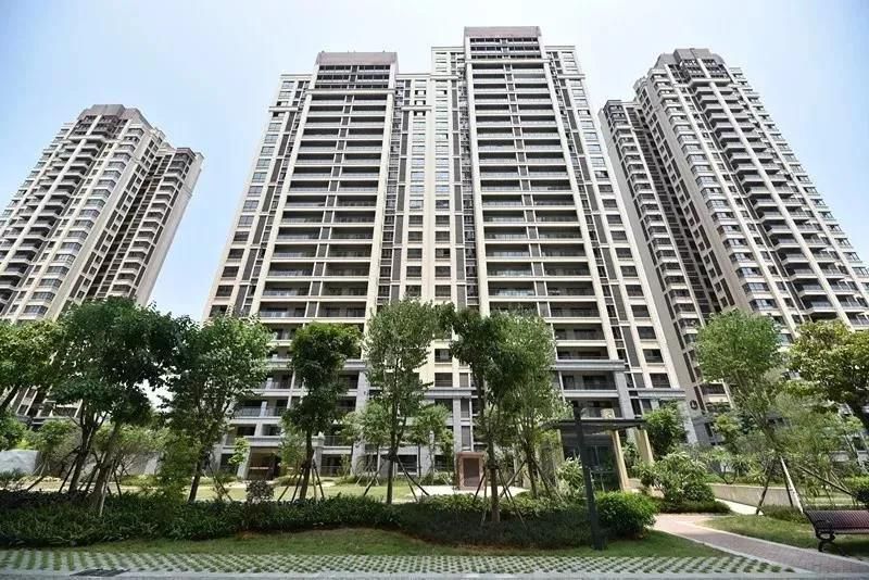 1573650197630071.jpg 微信图片_20191113210008.jpg