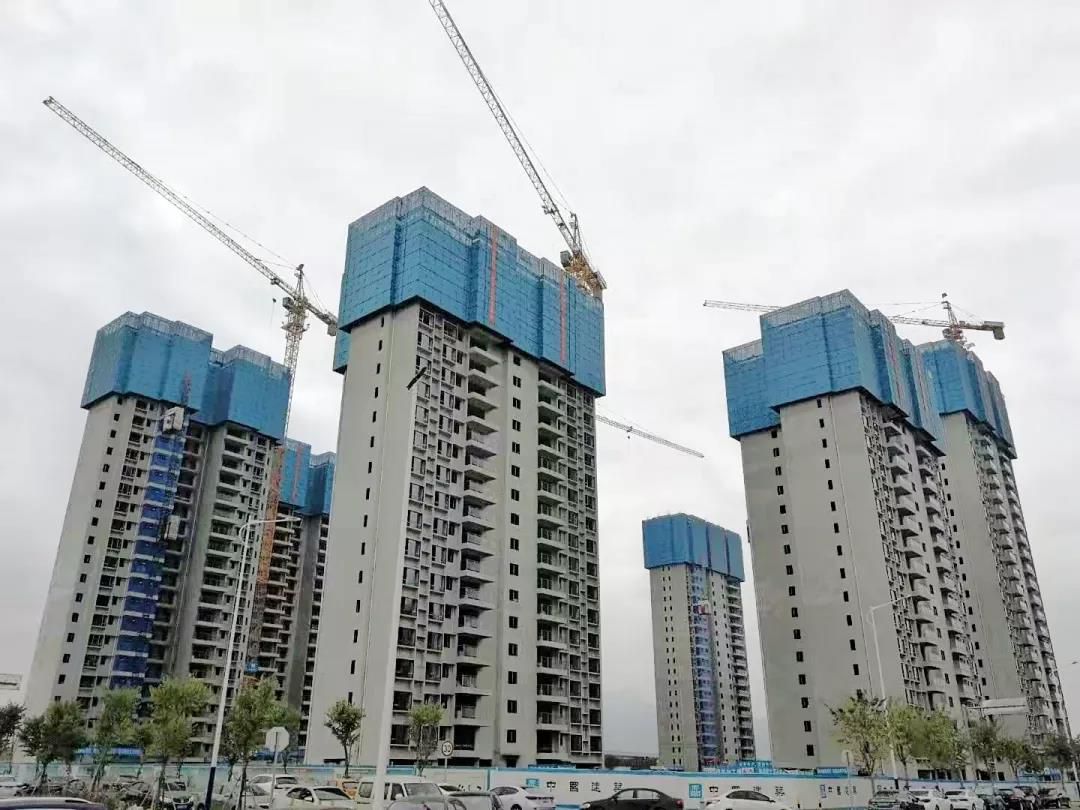 1577022460621034.jpg 20191222214705.jpg